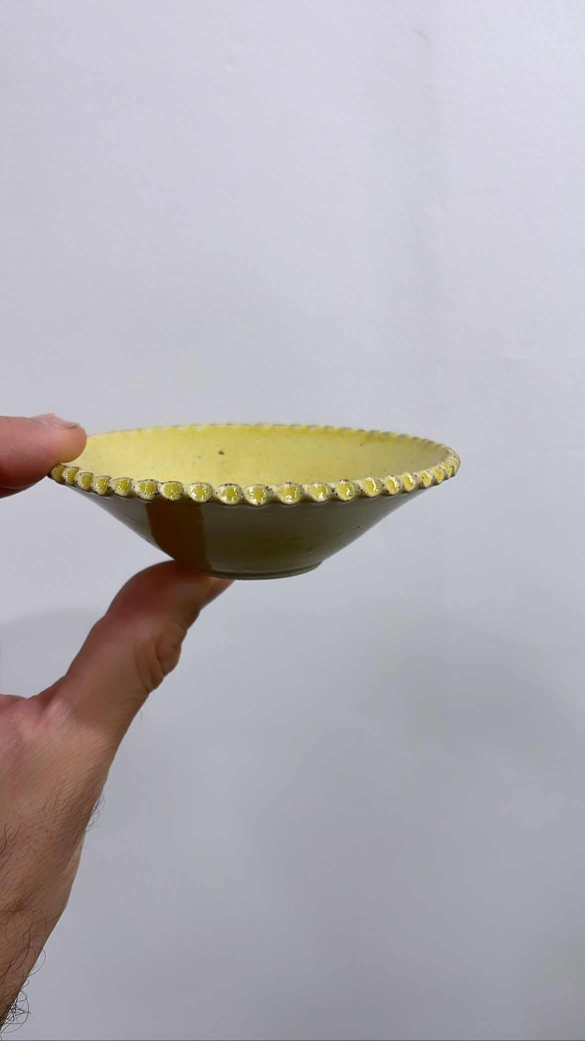 Avocado propagation tray