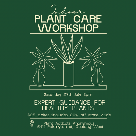 Indoor Plant Care Workshop - Saturday 27th July 3pm