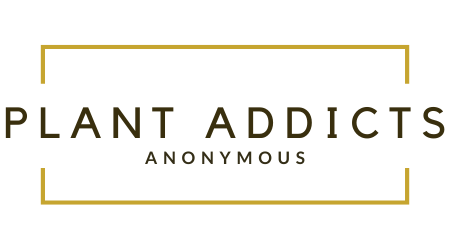 Plant Addicts Anonymous - Indoor Plant Shop In Melbourne