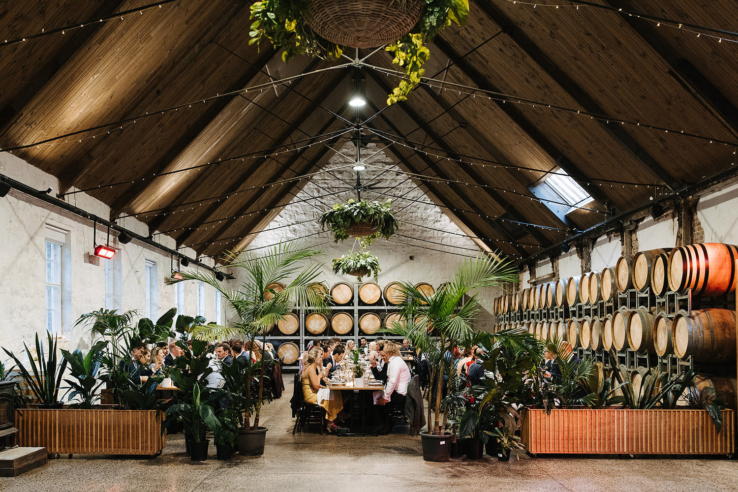 Wedding Plant Hire Plant Addicts Anonymous