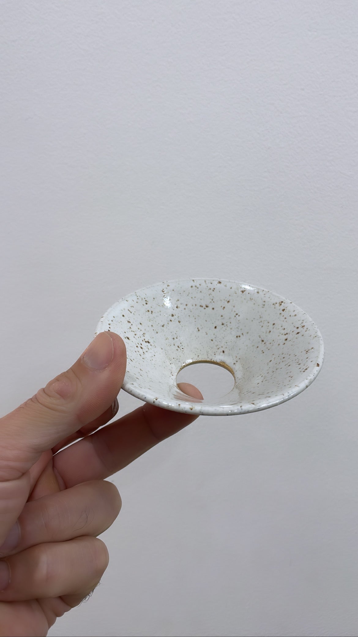 Avocado propagation tray