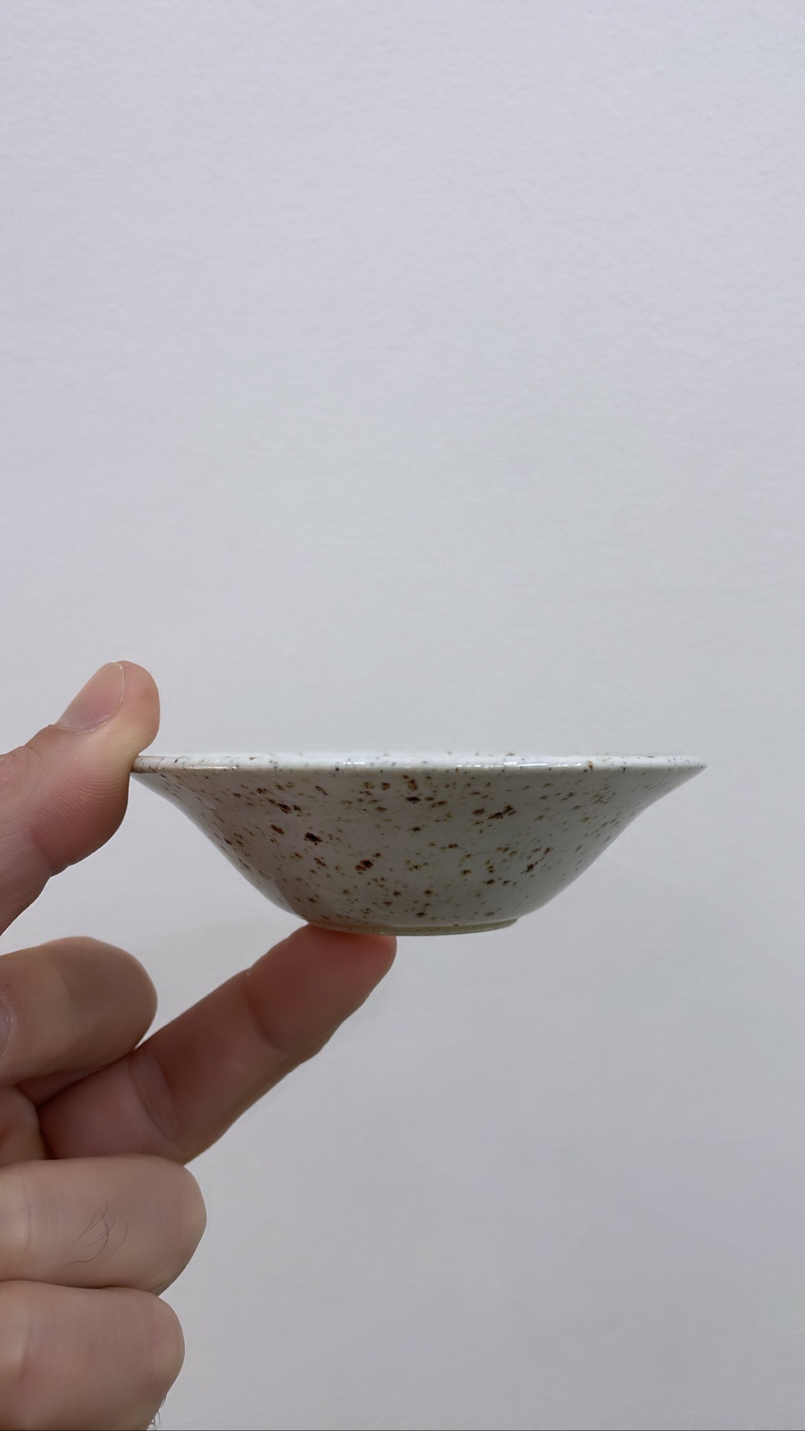 Avocado propagation tray