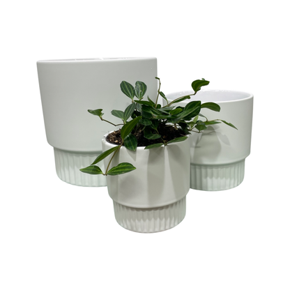 Veneto Planter Pot Varieties