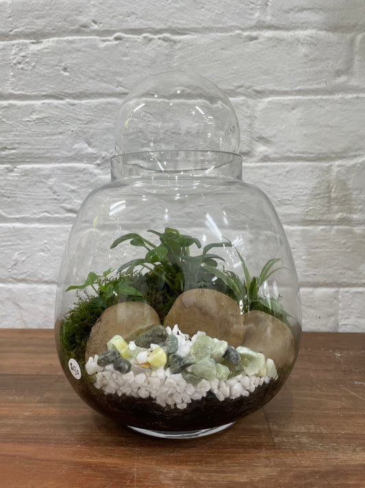 Terrarium $139