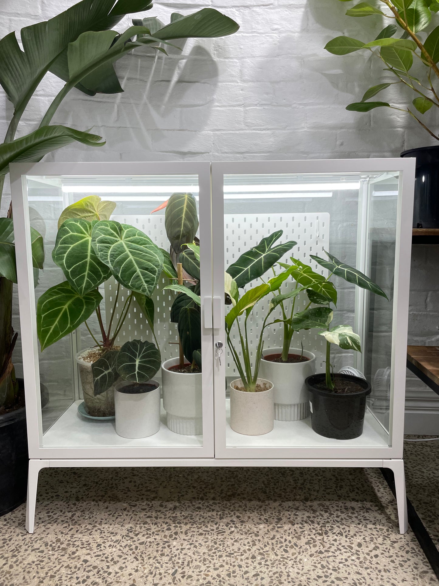Grow lights outlet for ikea cabinet