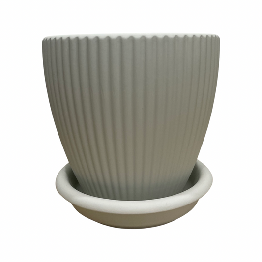 Johanna Pot w/saucer
