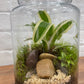 Terrarium $169